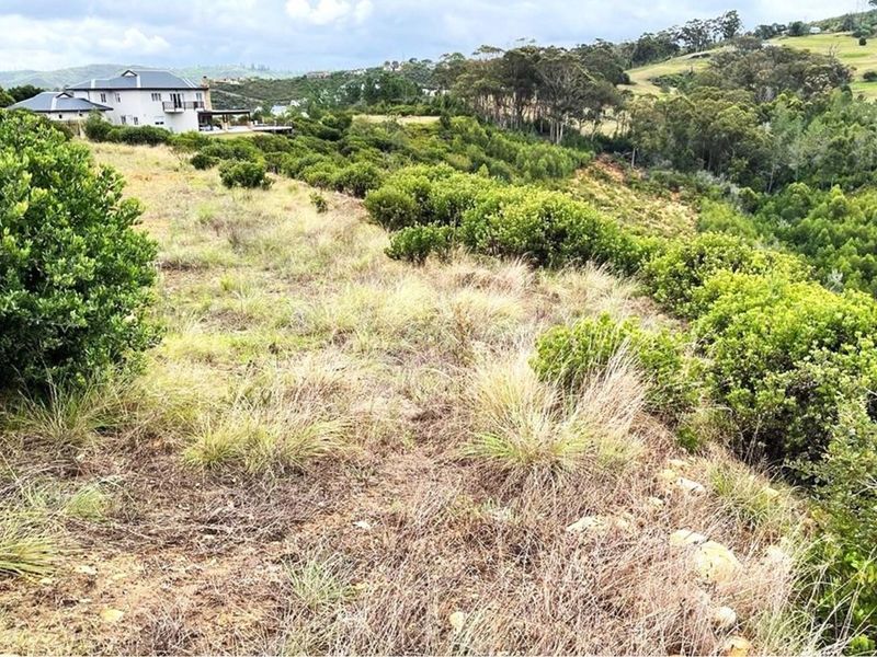 Prime Knysna Lot for Your Coastal Dream  - Photo 8