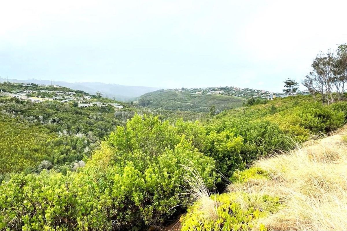 Prime Knysna Lot for Your Coastal Dream  - Photo 4