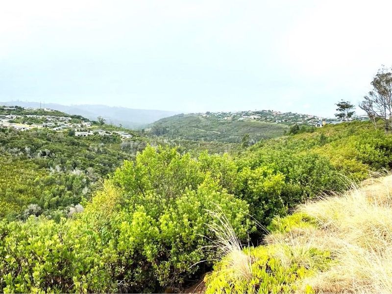 Prime Knysna Lot for Your Coastal Dream  - Photo 4
