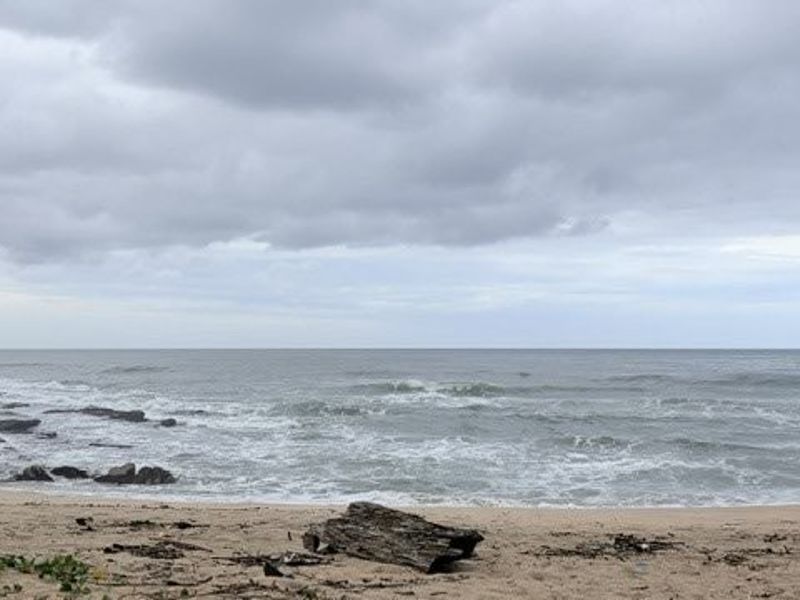 Coastal Elegance Right On the Beach In Shelly Beach - Photo 3