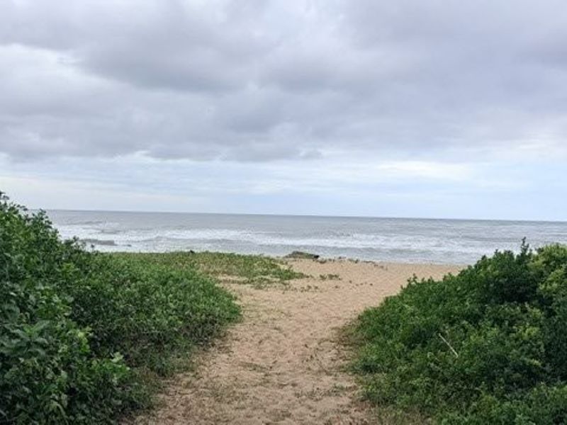Coastal Elegance Right On the Beach In Shelly Beach - Photo 4