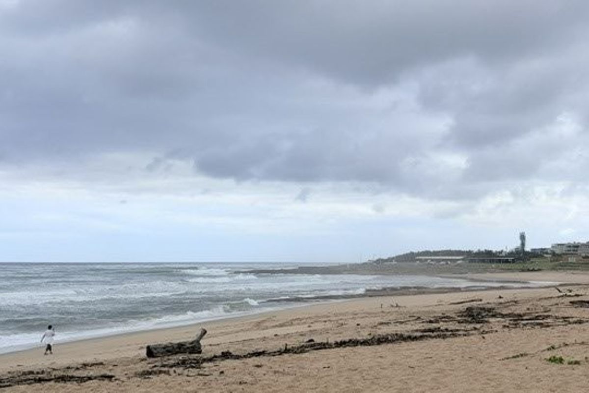 Coastal Elegance Right On the Beach In Shelly Beach - Photo 2
