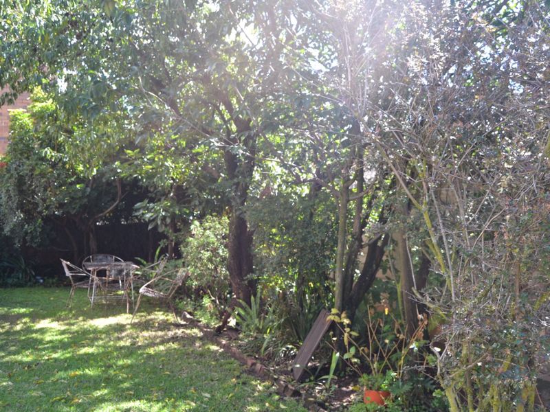 Charming  Well maintained 2 Bedroom Home on a 495m2  with  spacious yard  & Income  Potential - Bellevue East Agent Sale! - Photo 8