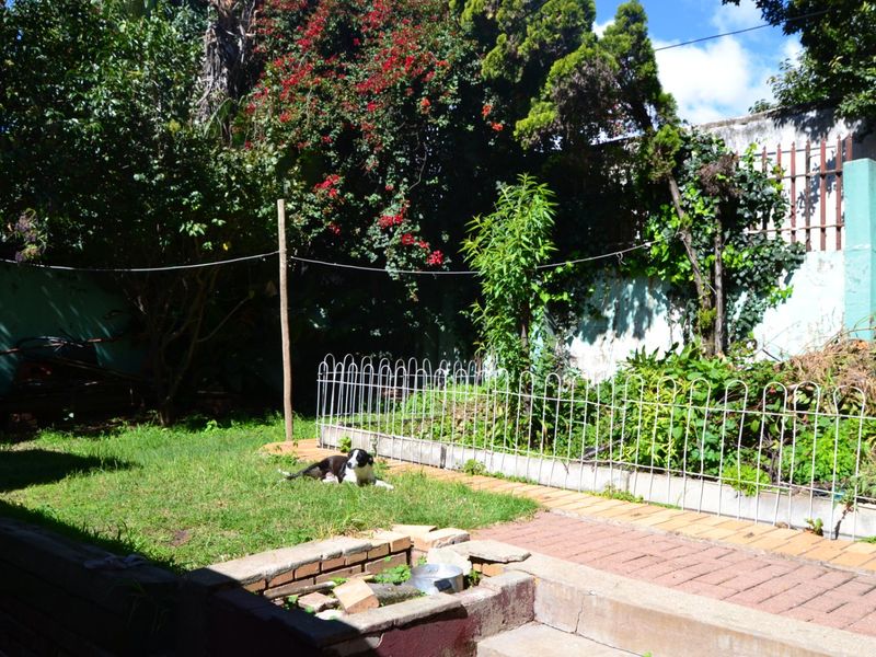 Charming  Well maintained 2 Bedroom Home on a 495m2  with  spacious yard  & Income  Potential - Bellevue East Agent Sale! - Photo 7