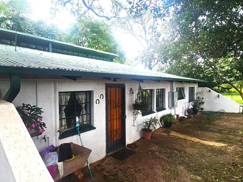 Rear exterior view of the farm dwelling featuring a corrugated metal roof, steel window frames, and a concrete patio area.
