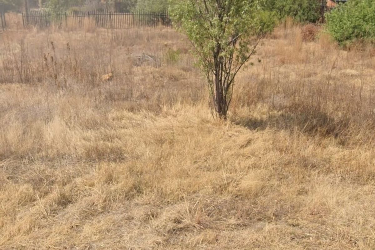 Prime Vaal Marina Vacant Stand Opportunity - Photo 2