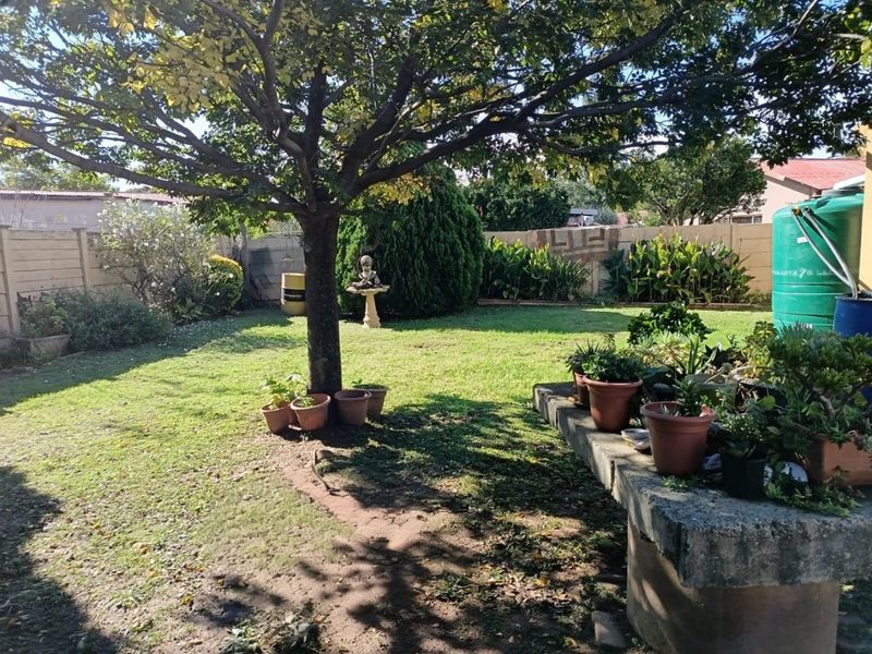 A private backyard garden featuring a mature tree, lawn area, boundary wall, and a water storage tank.