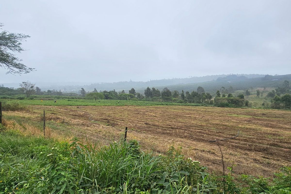 Large Farm, Plenty of Water, Close to Town, Arable Land, 9 Bedrooms  - Photo 4