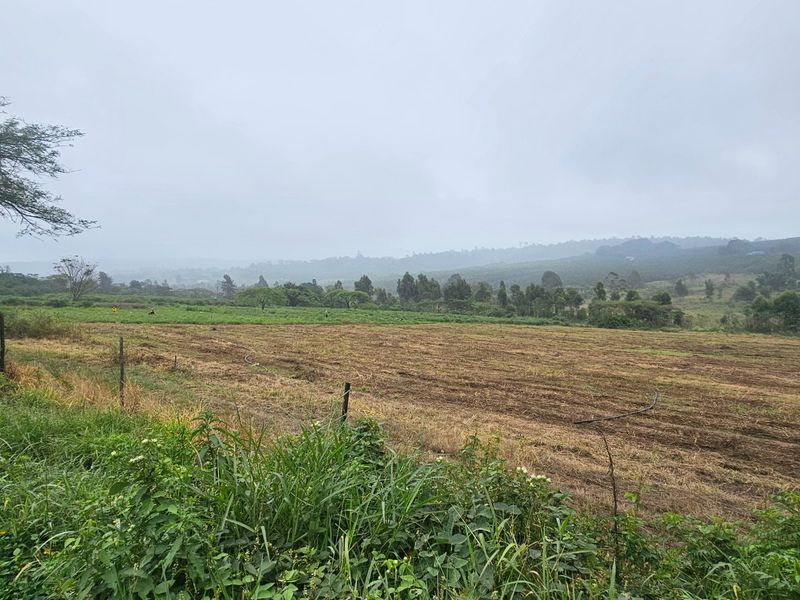 Large Farm, Plenty of Water, Close to Town, Arable Land, 9 Bedrooms  - Photo 4
