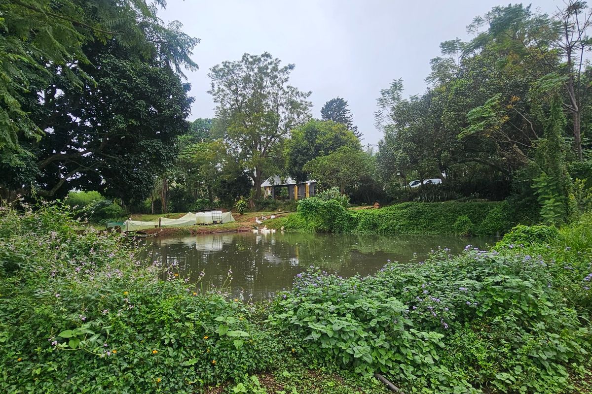 Large Farm, Plenty of Water, Close to Town, Arable Land, 9 Bedrooms  - Photo 5