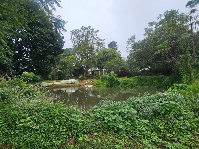 Large Farm, Plenty of Water, Close to Town, Arable Land, 9 Bedrooms  - Photo 5