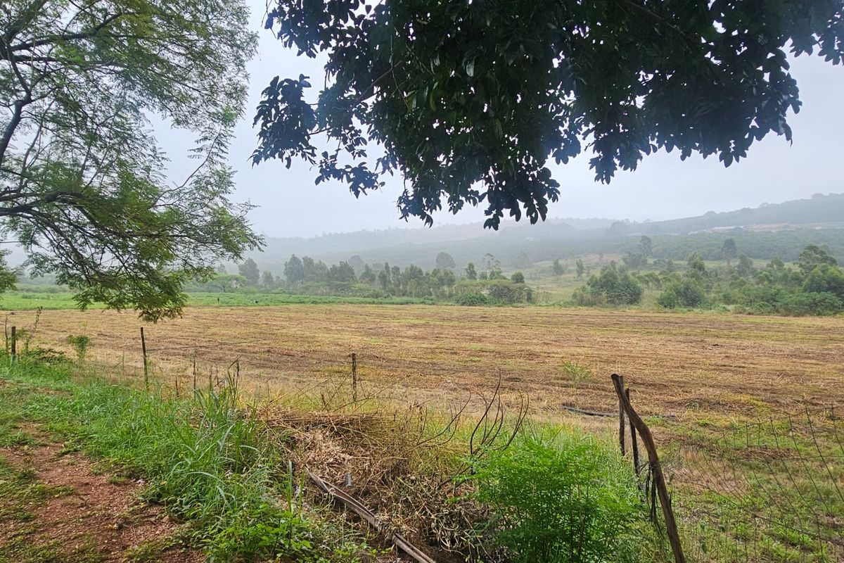 Large Farm, Plenty of Water, Close to Town, Arable Land, 9 Bedrooms  - Photo 3