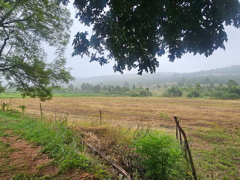 Large Farm, Plenty of Water, Close to Town, Arable Land, 9 Bedrooms  - Photo 3