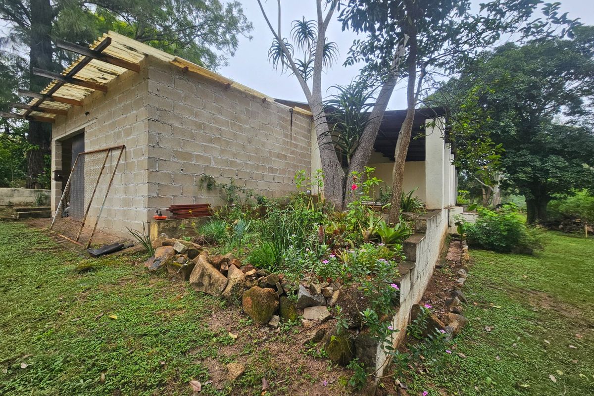 Rear view of a farm building featuring unfinished concrete block walls and a basic corrugated roof structure set within a garden area.