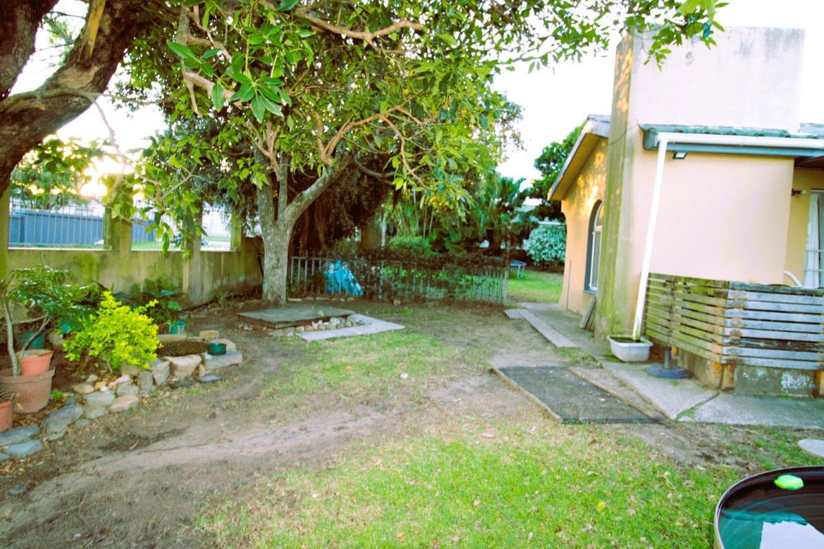 A view of the rear garden area featuring a lawn, mature tree, perimeter wall, and concrete patio section adjacent to the house.