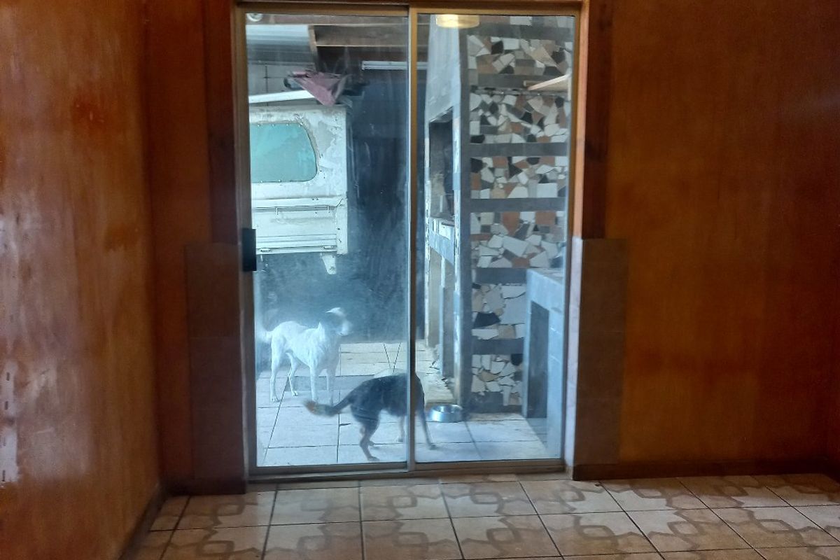 Well maintaned family home close to all amenities. - Photo 5