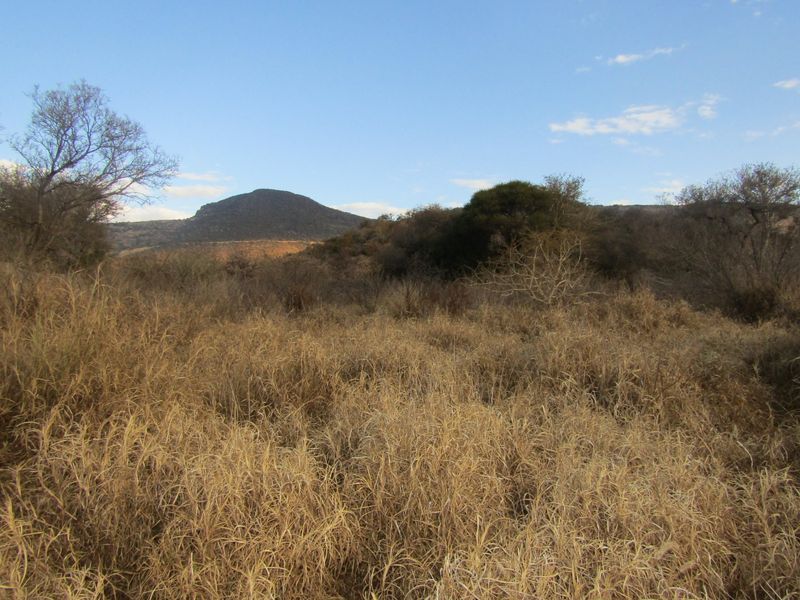 Secure & Well-Located Vacant Stand – 1,205m2 in Thabazimbi - Photo 1
