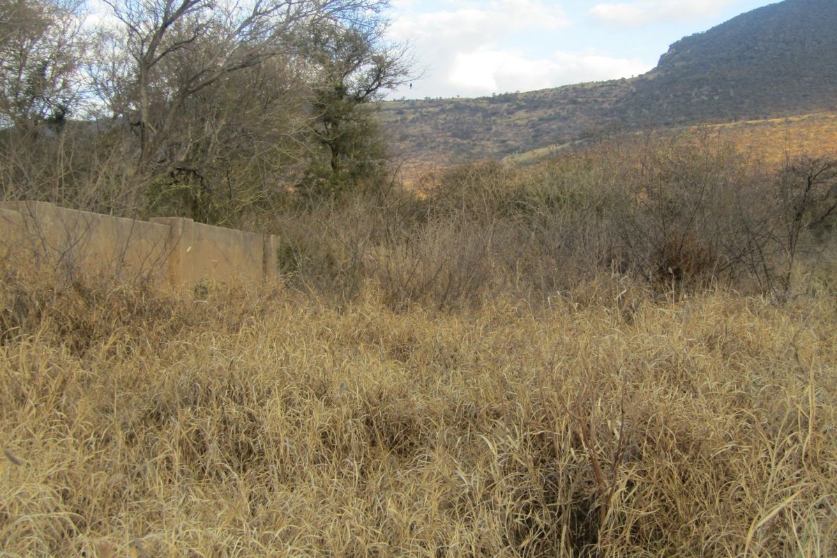 Secure & Well-Located Vacant Stand – 1,205m2 in Thabazimbi - Photo 2