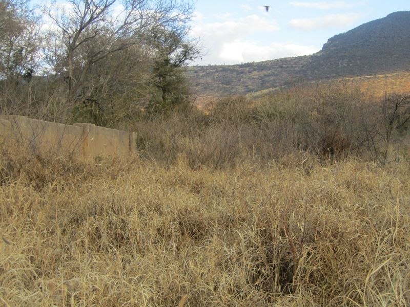 Secure & Well-Located Vacant Stand – 1,205m2 in Thabazimbi - Photo 2