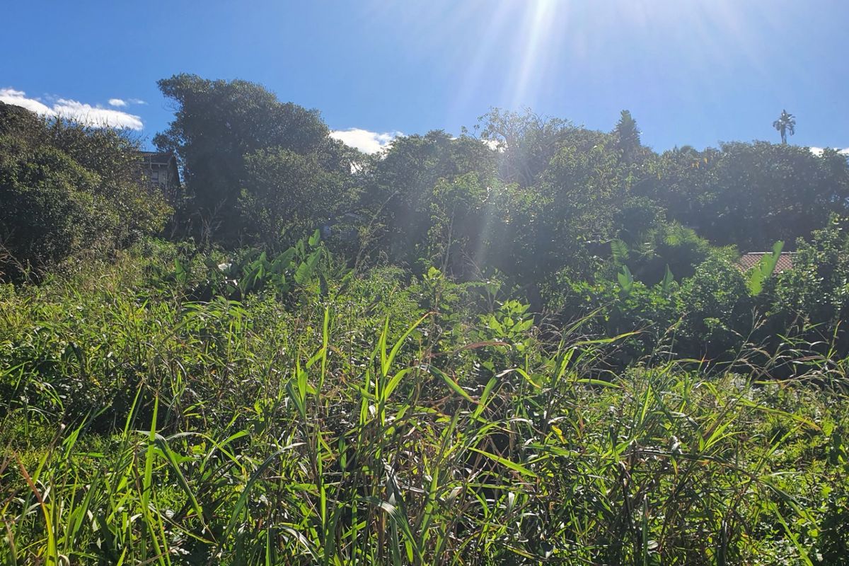 Prime Coastal Vacant Land – Walking Distance to Popular Beaches - Photo 2