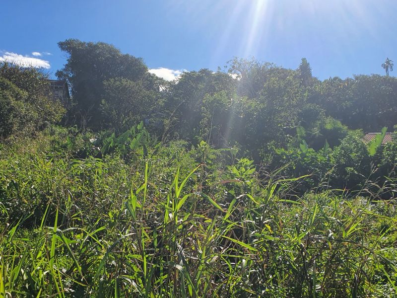 Prime Coastal Vacant Land – Walking Distance to Popular Beaches - Photo 2