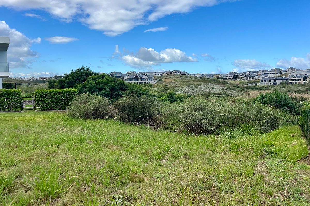 VACANT STAND AVAILABLE IN SOUGHT AFTER KINGSWOOD GOLF ESTATE - Photo 5