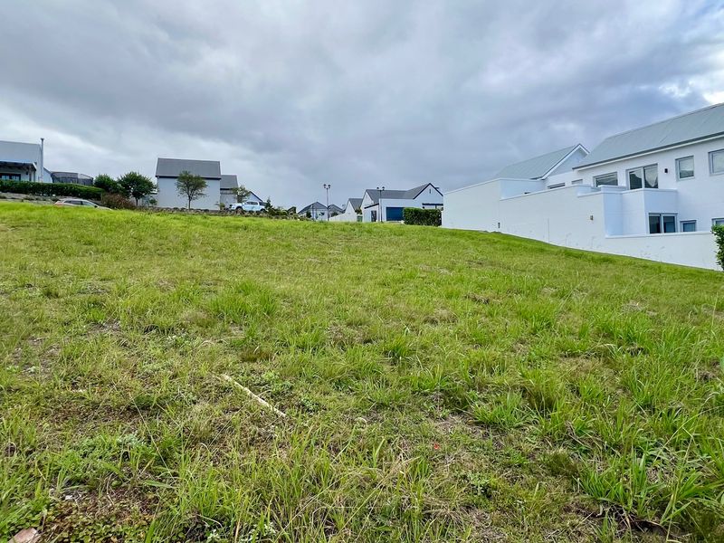 VACANT STAND AVAILABLE IN SOUGHT AFTER KINGSWOOD GOLF ESTATE - Photo 4