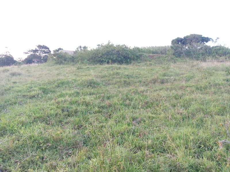 0 Bed Vacant Land in Ongoye, Empangeni Rural for Sale - Photo 10