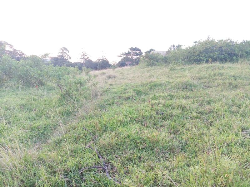 0 Bed Vacant Land in Ongoye, Empangeni Rural for Sale - Photo 9