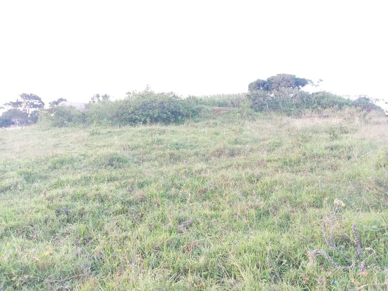 0 Bed Vacant Land in Ongoye, Empangeni Rural for Sale - Photo 6