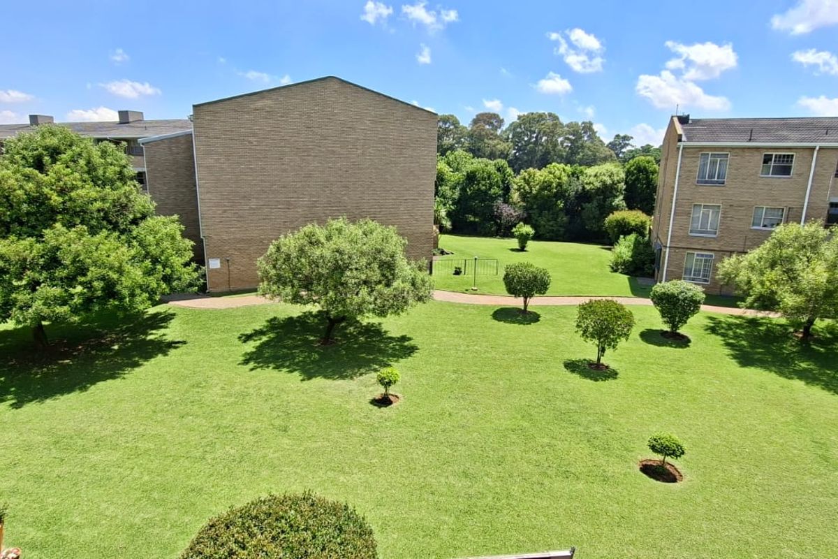 Spacious 3 bedroom apartment in the heart of Morehill - Photo 3