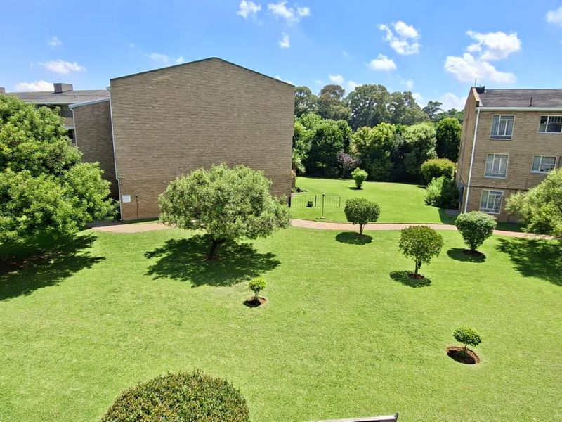 Spacious 3 bedroom apartment in the heart of Morehill - Photo 3