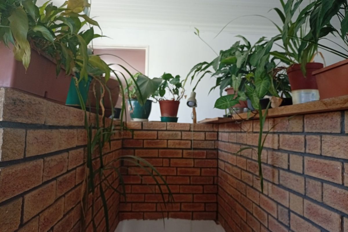 Spacious 3-Bedroom Family Home on a Corner Plot in Glenlily  Joint Mandate - Photo 5