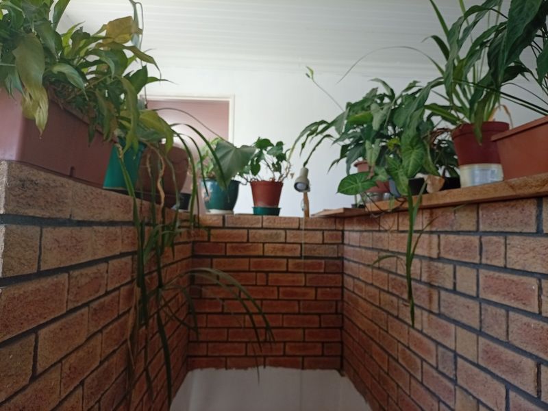 Spacious 3-Bedroom Family Home on a Corner Plot in Glenlily  Joint Mandate - Photo 5