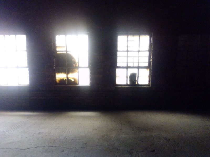GENERAL BUSINESS PROPERTY FOR RENTAL - Photo 10