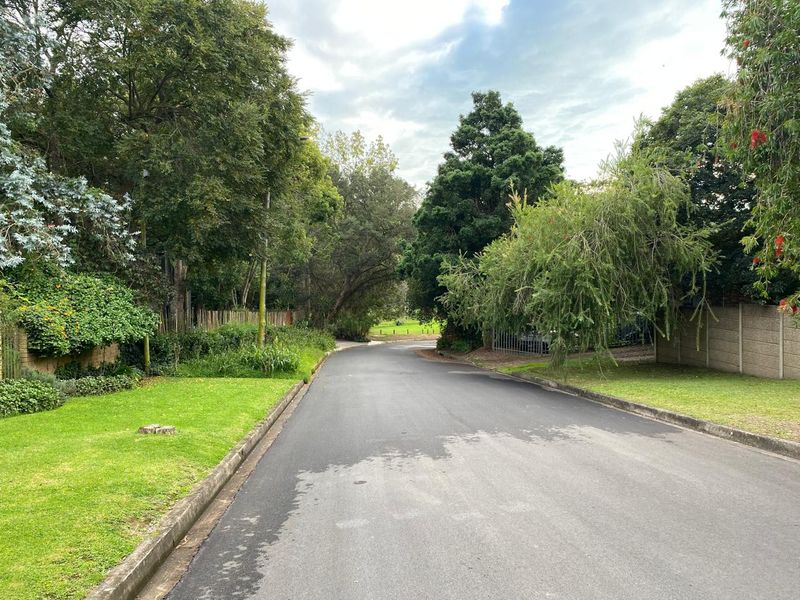 A view of the quiet residential street featuring mature trees, well-maintained grass verges, and asphalt road surface.