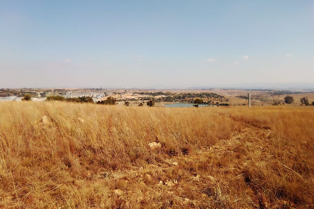 10 HECTARES VACANT LAND FOR RENTAL - Photo 5