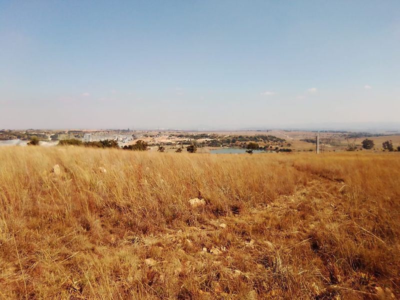 10 HECTARES VACANT LAND FOR RENTAL - Photo 5