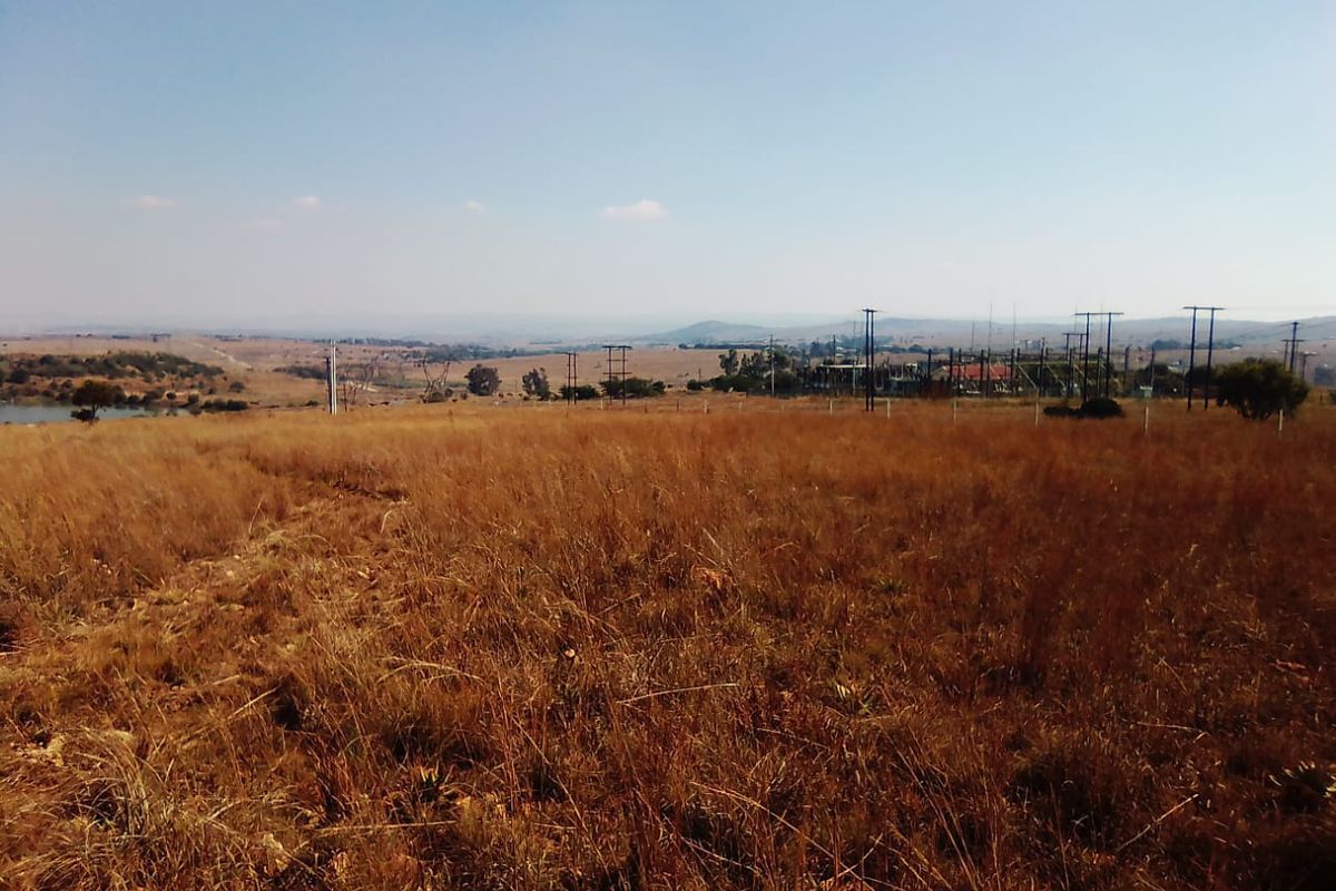 10 HECTARES VACANT LAND FOR RENTAL - Photo 4