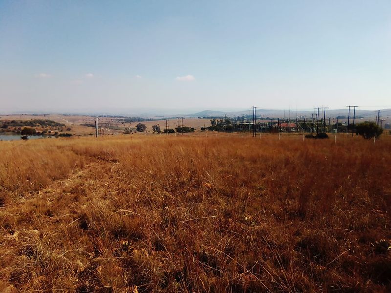 10 HECTARES VACANT LAND FOR RENTAL - Photo 4