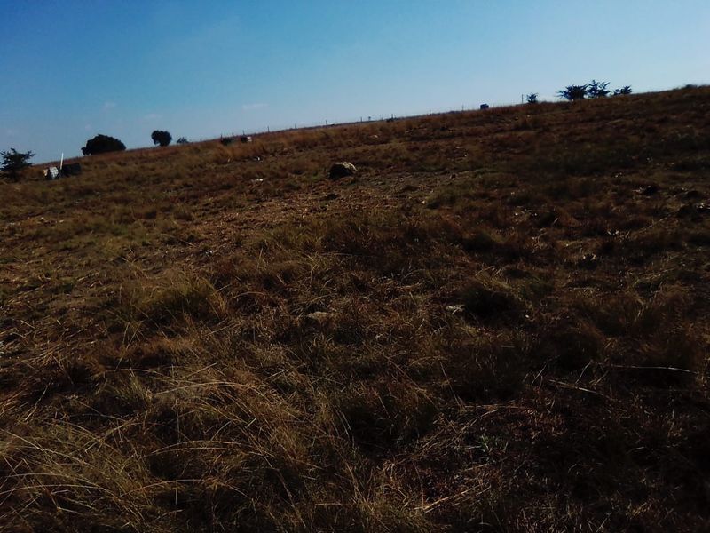 10 HECTARES VACANT LAND FOR RENTAL - Photo 9