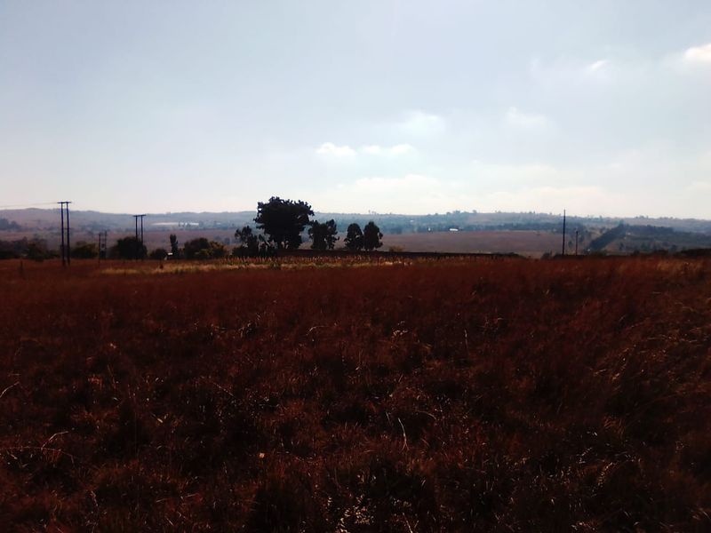 10 HECTARES VACANT LAND FOR RENTAL - Photo 7