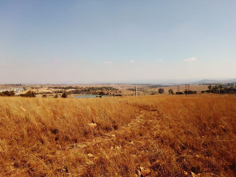 10 HECTARES VACANT LAND FOR RENTAL - Photo 6