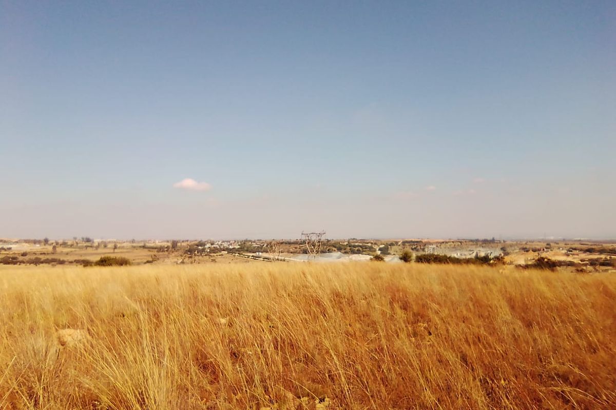 10 HECTARES VACANT LAND FOR RENTAL - Photo 3