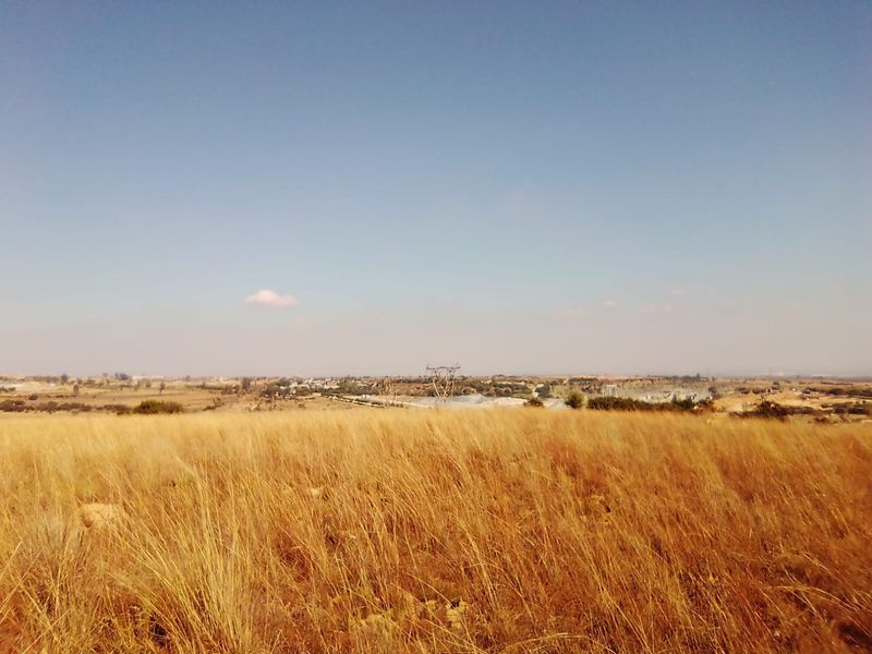 10 HECTARES VACANT LAND FOR RENTAL - Photo 3