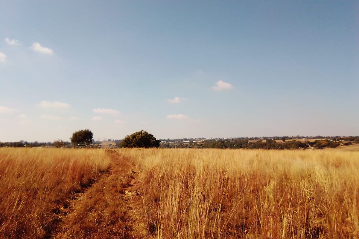 10 HECTARES VACANT LAND FOR RENTAL - Photo 2