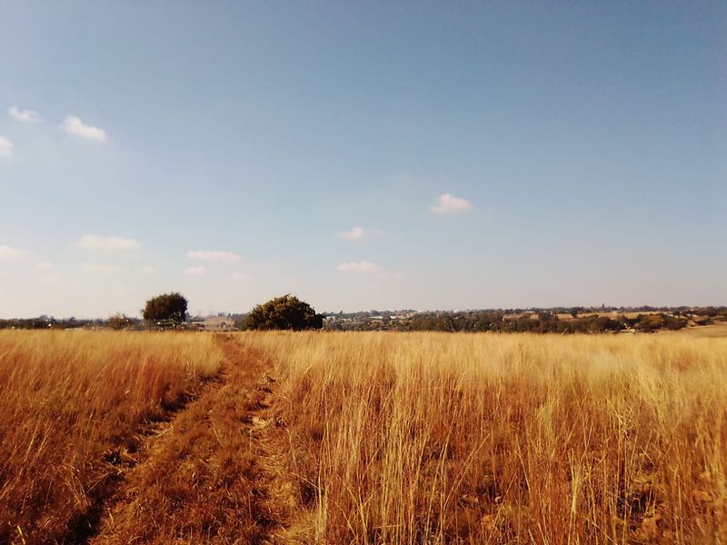 10 HECTARES VACANT LAND FOR RENTAL - Photo 2