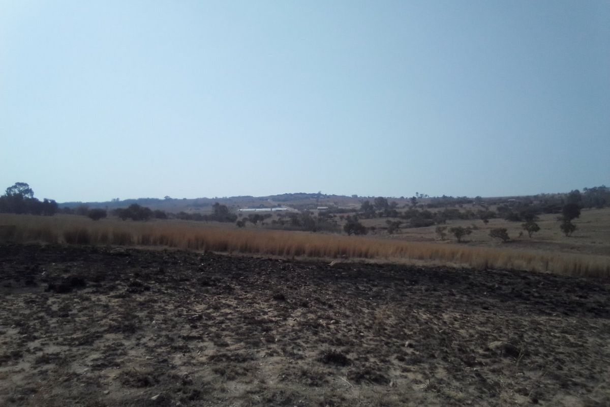 22 HECTARES VACANT LAND FOR RENTAL - Photo 3