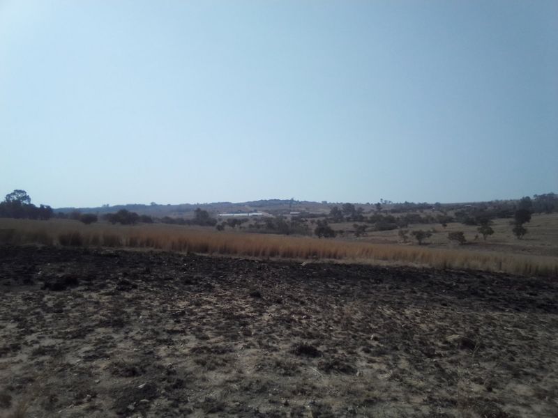 22 HECTARES VACANT LAND FOR RENTAL - Photo 3