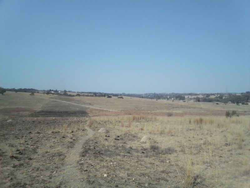 22 HECTARES VACANT LAND FOR RENTAL - Photo 8